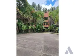Vista 31