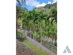 Vista 34
