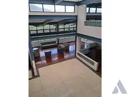 Vista 44