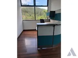 Vista 55