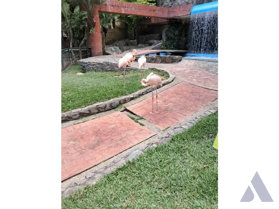 Se vende terreno 53.033m2 c/ bienhechuria 2.984m2 El Hatillo 7557 - 67