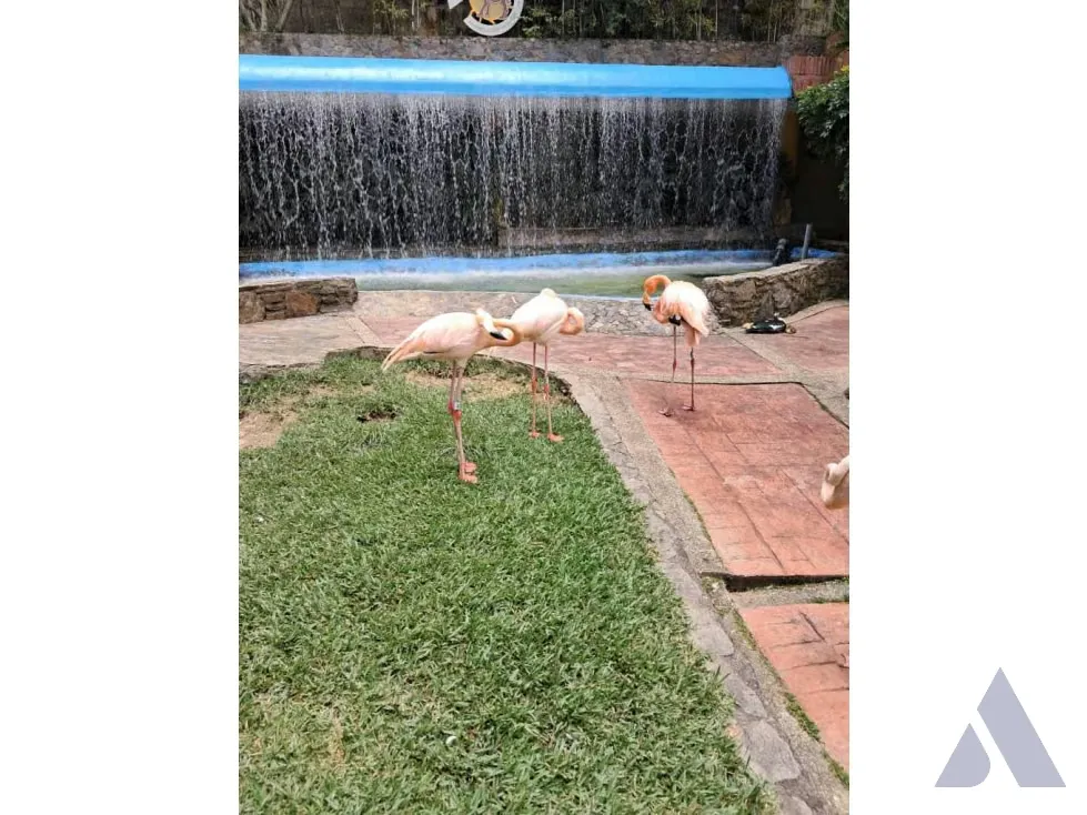 Se vende terreno 53.033m2 c/ bienhechuria 2.984m2 El Hatillo 7557 - 70