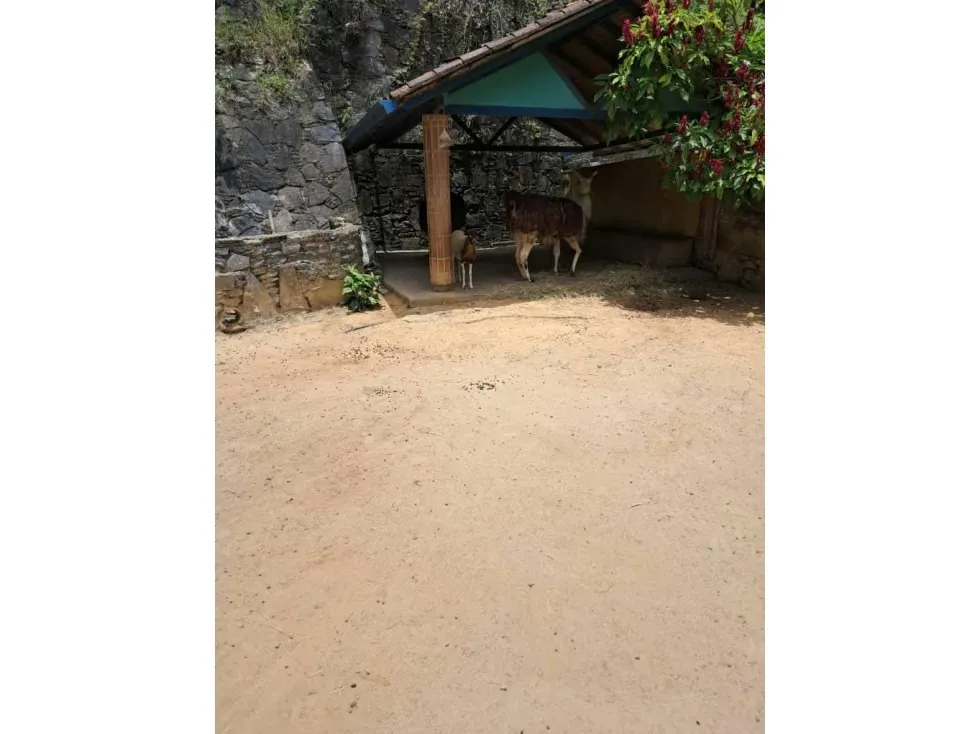 Se vende terreno 53.033m2 c/ bienhechuria 2.984m2 El Hatillo 7557 - 76