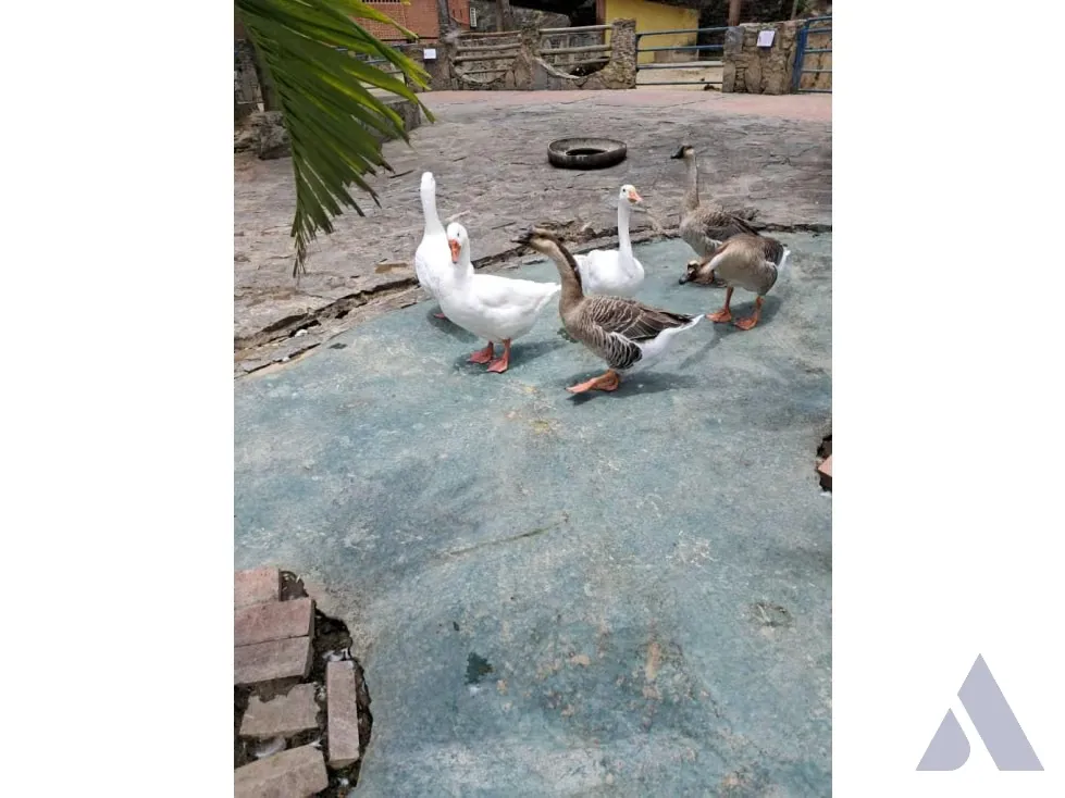 Se vende terreno 53.033m2 c/ bienhechuria 2.984m2 El Hatillo 7557 - 83