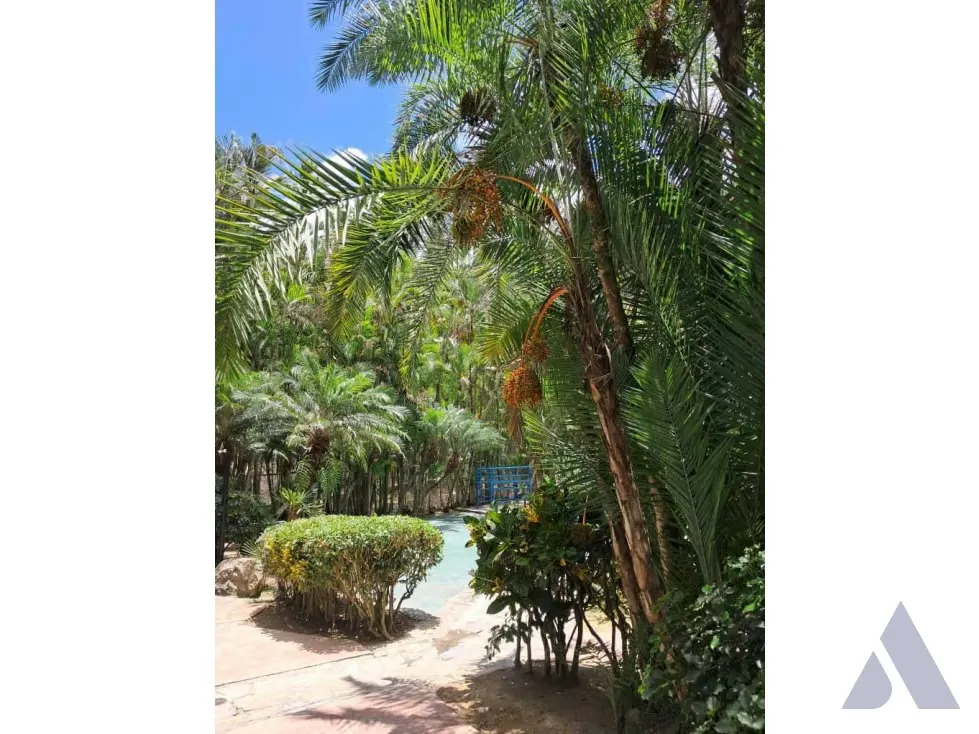 Se vende terreno 53.033m2 c/ bienhechuria 2.984m2 El Hatillo 7557 - 90
