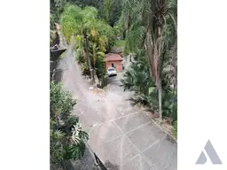 Vista 10