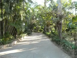 Vista 1