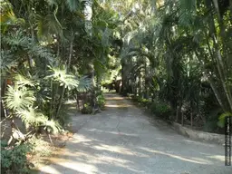 Vista 5