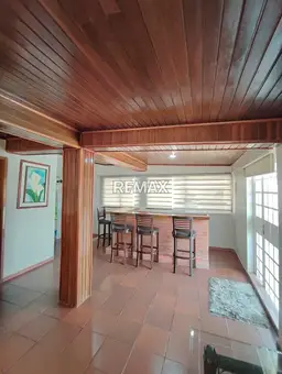 Vista 19