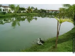 Vista 15