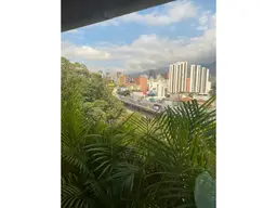 Vista 26