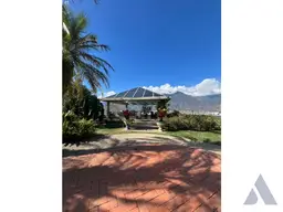 View 5