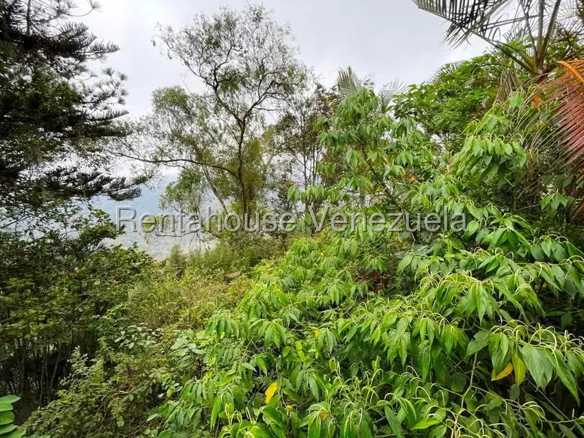 Casa (Duplex) en Venta en Los Guayabitos, Distrito Metropolitano - 6