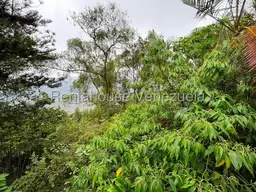 Vista 6