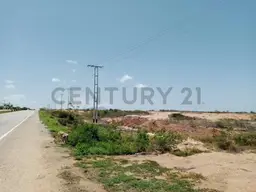 View 8