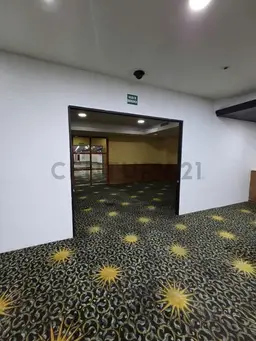 Vista 13