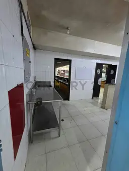 Vista 20