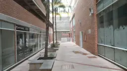 Vista 13
