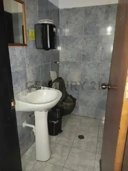 Vista 15
