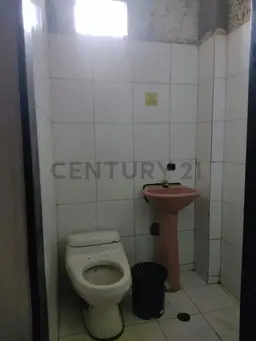 Vista 17