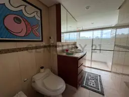 Vista 18