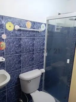 Vista 4