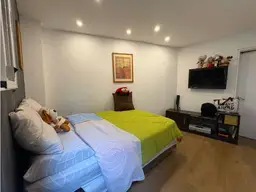 Vista 19