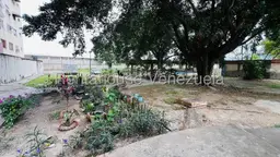 Vista 26