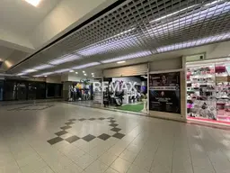 Vista 5