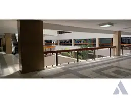 Vista 6