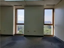 Vista 4