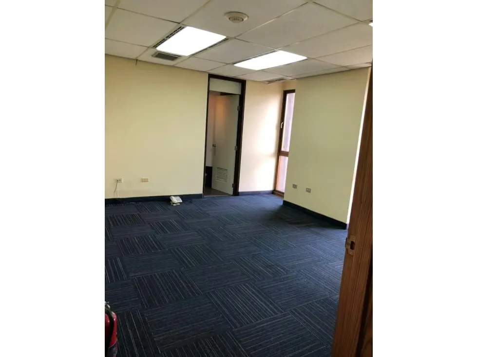 Se alquila oficina 100m2 Altamira 7369 - 10