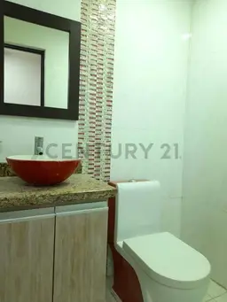 Vista 11