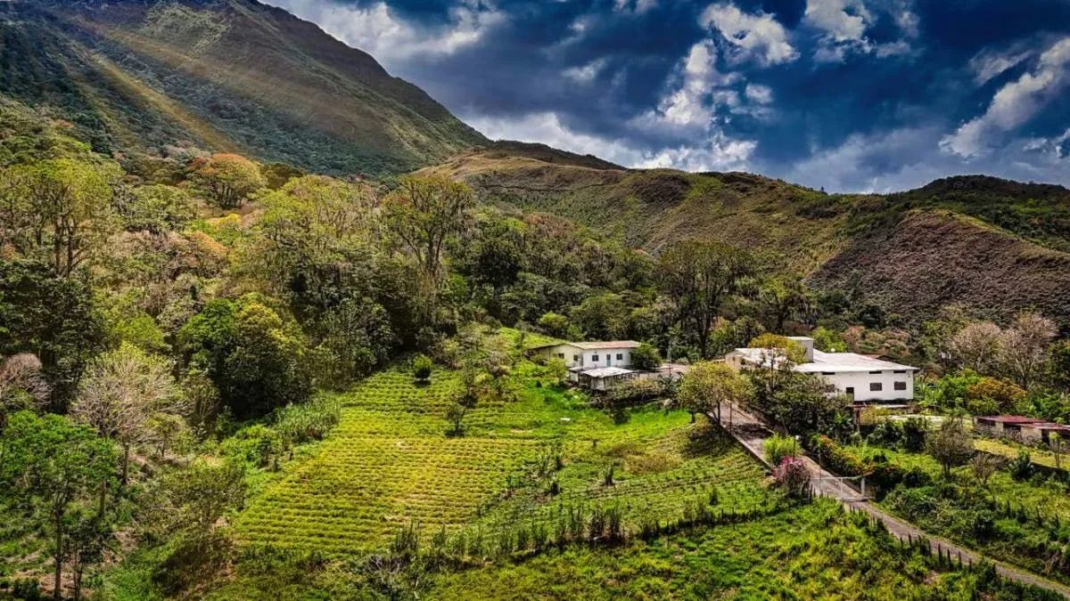 Hacienda cafetalera en venta Caripe Estado Monagas Venezuela