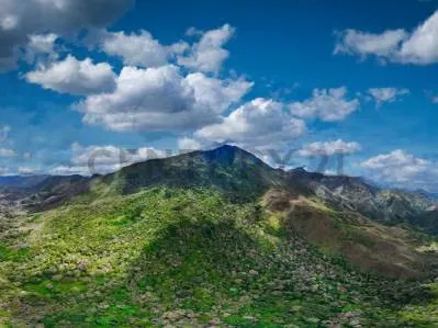 Hacienda cafetalera en venta Caripe Estado Monagas Venezuela - 3