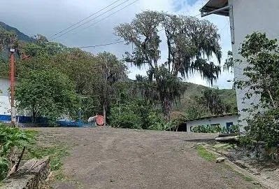 Hacienda cafetalera en venta Caripe Estado Monagas Venezuela - 7