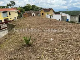 Vista 19