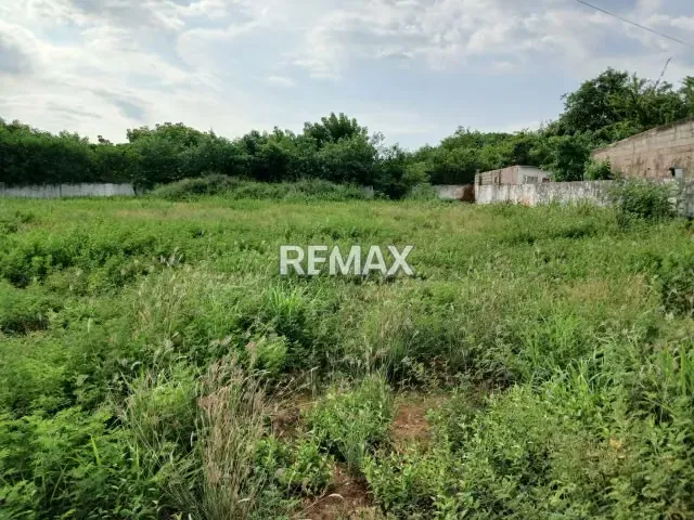 Terreno En Venta Ciudad Ojeda - 9
