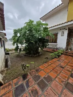 Vista 18