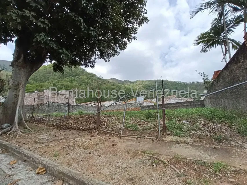 Terreno (Residencial) en Venta en Trigal Norte, Carabobo - 2