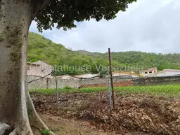 View 4