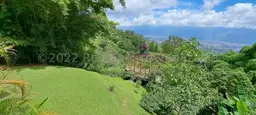 Vista 20