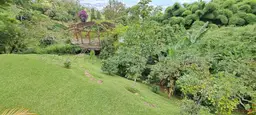 Vista 26