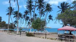 View 1