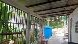 View 11