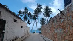 View 8