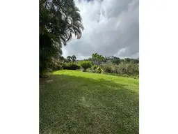 View 14