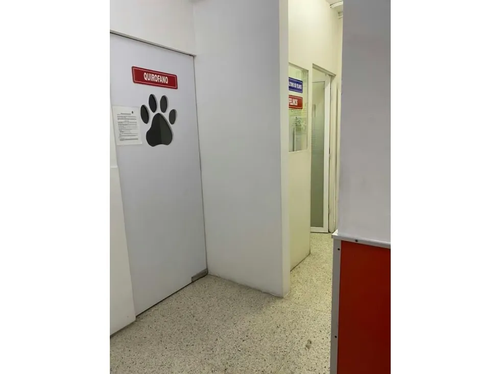 Vendo casa comercial 800m2 Las Mercedes 5819 - 9