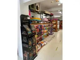 View 10