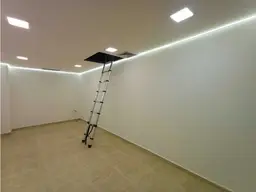Vista 19